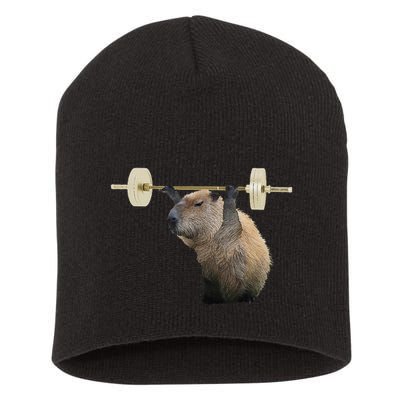 Capybara Weightlifting Funny Body Building Training Short Acrylic Beanie