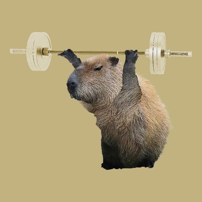 Capybara Weightlifting Funny Body Building Training Performance Shirt
