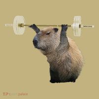 Capybara Weightlifting Funny Body Building Training T-Shirt