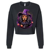 Cute Witch Funny Dachshund Halloween Costume Dog Lover Cropped Pullover Crew