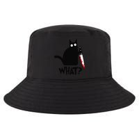 Cat What Funny Black Cat Murderous Cat With Knife Cool Comfort Performance Bucket Hat