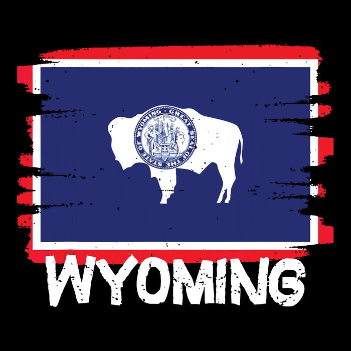 Cool Wyoming Flag Mesh Reversible Basketball Jersey Tank