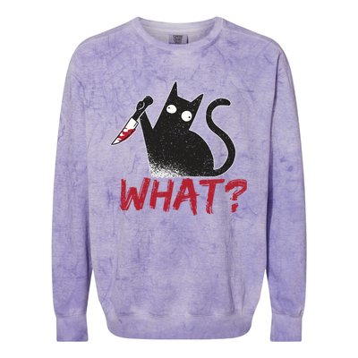 Cat What? Funny Black Cat Murderous Cat With Knife Cool Gift Colorblast Crewneck Sweatshirt