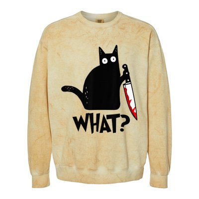 Cat What Funny Black Cat Murderous Cat With Knife  Colorblast Crewneck Sweatshirt