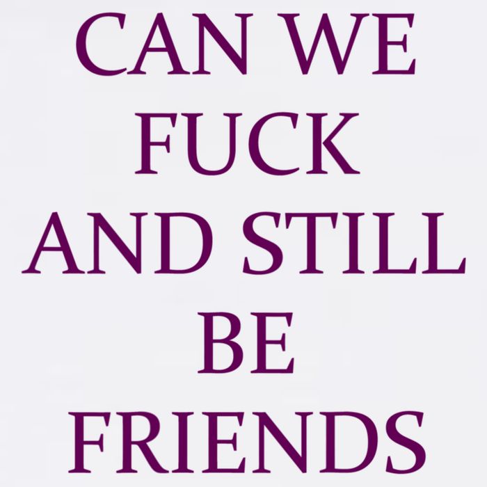 Can We Fuck Still Be Friends Funny Offensive Saying Quote T-Shirt