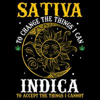 Cannabis Weed Fun Sativa To Change The Things I Can Indica Womens T-Shirt