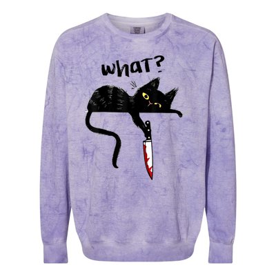 Cat What? Funny Black Cat Shirt, Murderous Cat With Knife Cute Design Colorblast Crewneck Sweatshirt