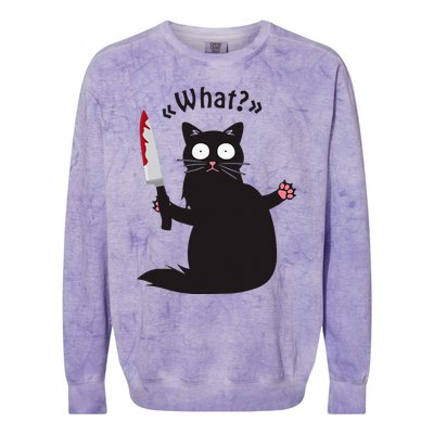 Cat What Funny Black Cat Fun Murderous Cat With Knife Colorblast Crewneck Sweatshirt