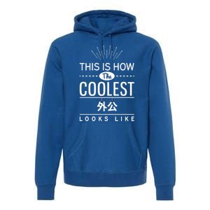 Coolest Wai Gong Chinese Grandpa Funny Gift From Grand Gift Premium Hoodie