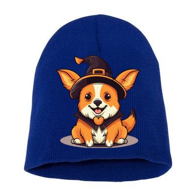 Corgi Witch Halloween Corgi Meaningful Gift Short Acrylic Beanie