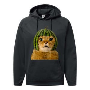 Cat Watermelon Helmet Daddy Mommy Boy Girl Funny Performance Fleece Hoodie