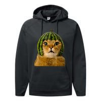 Cat Watermelon Helmet Daddy Mommy Boy Girl Funny Performance Fleece Hoodie