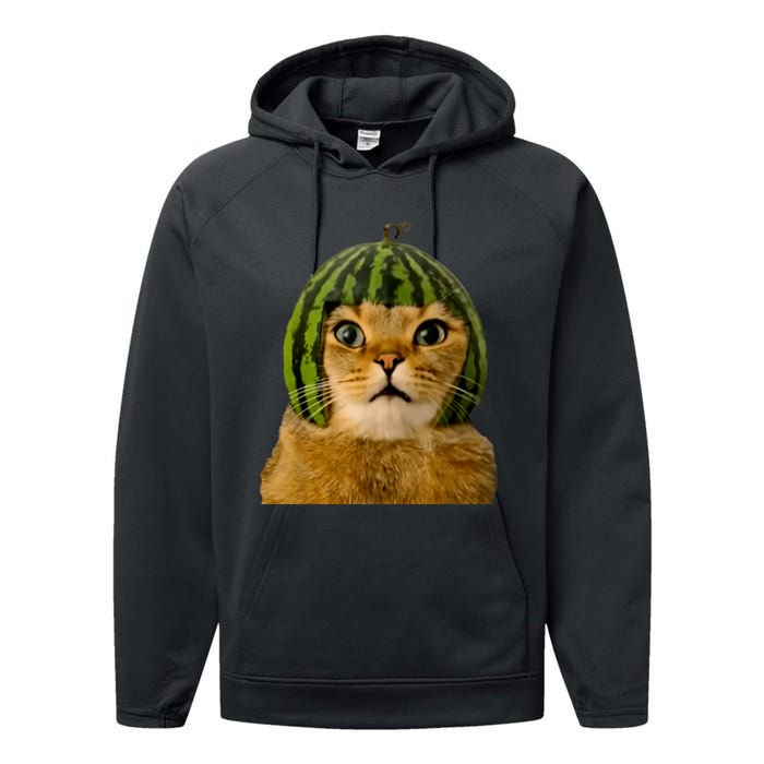 Cat Watermelon Helmet Daddy Mommy Boy Girl Funny Performance Fleece Hoodie