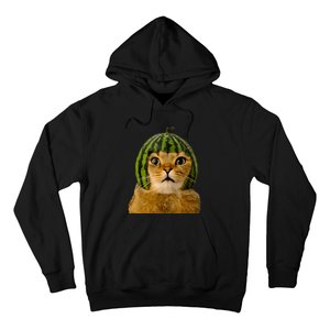 Cat Watermelon Helmet Daddy Mommy Boy Girl Funny Hoodie