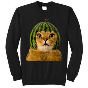 Cat Watermelon Helmet Daddy Mommy Boy Girl Funny Sweatshirt