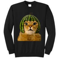 Cat Watermelon Helmet Daddy Mommy Boy Girl Funny Sweatshirt