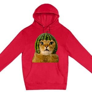 Cat Watermelon Helmet Daddy Mommy Boy Girl Funny Premium Pullover Hoodie