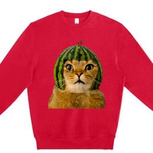 Cat Watermelon Helmet Daddy Mommy Boy Girl Funny Premium Crewneck Sweatshirt