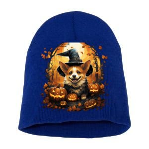 Corgi Witch Halloween Pumpkin Costume For Dog Lover Gift Short Acrylic Beanie