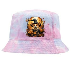 Corgi Witch Halloween Pumpkin Costume For Dog Lover Gift Tie-Dyed Bucket Hat