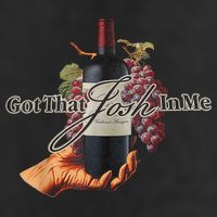 Classy Wine In Me Got That Josh In Me Funny Adult Drive Performance Visor