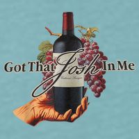 Classy Wine In Me Got That Josh In Me Funny Sueded Cloud Jersey T-Shirt
