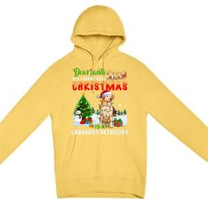 Christmas With Labrador Retriever Santa Family Xmas Pajama Cool Gift Premium Pullover Hoodie