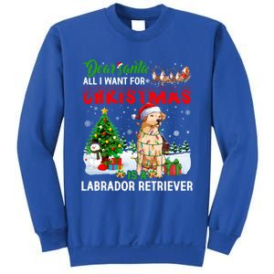 Christmas With Labrador Retriever Santa Family Xmas Pajama Cool Gift Sweatshirt