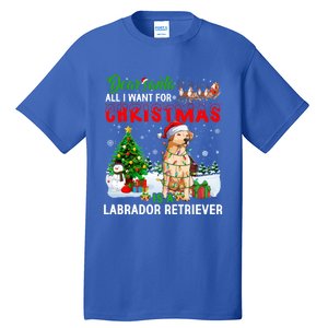 Christmas With Labrador Retriever Santa Family Xmas Pajama Cool Gift Tall T-Shirt