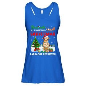 Christmas With Labrador Retriever Santa Family Xmas Pajama Cool Gift Ladies Essential Flowy Tank