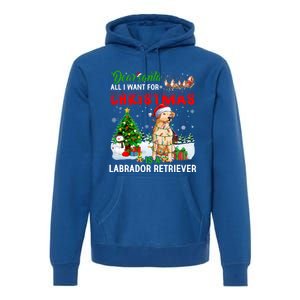 Christmas With Labrador Retriever Santa Family Xmas Pajama Cool Gift Premium Hoodie