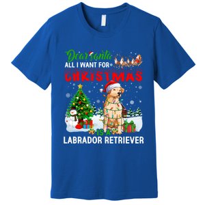 Christmas With Labrador Retriever Santa Family Xmas Pajama Cool Gift Premium T-Shirt