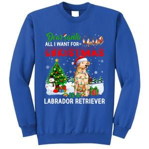 Christmas With Labrador Retriever Santa Family Xmas Pajama Cool Gift Tall Sweatshirt