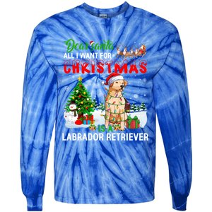 Christmas With Labrador Retriever Santa Family Xmas Pajama Cool Gift Tie-Dye Long Sleeve Shirt