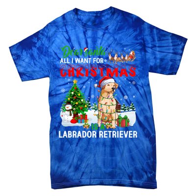 Christmas With Labrador Retriever Santa Family Xmas Pajama Cool Gift Tie-Dye T-Shirt