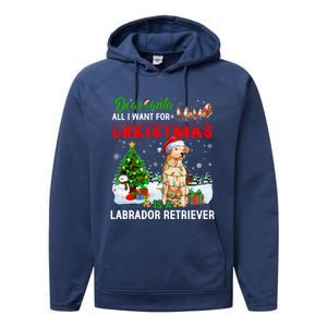 Christmas With Labrador Retriever Santa Family Xmas Pajama Cool Gift Performance Fleece Hoodie