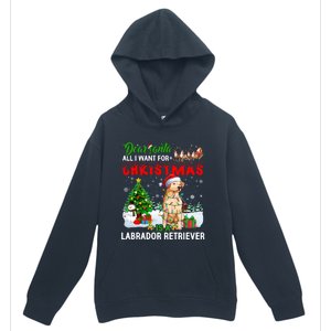 Christmas With Labrador Retriever Santa Family Xmas Pajama Cool Gift Urban Pullover Hoodie