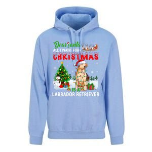 Christmas With Labrador Retriever Santa Family Xmas Pajama Cool Gift Unisex Surf Hoodie