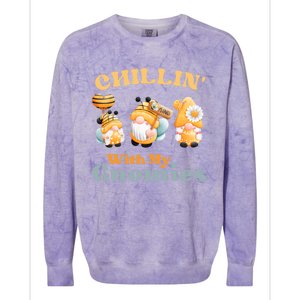 Chillin With My Gnomies Garden Gnomes With Bees Gift Colorblast Crewneck Sweatshirt