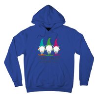 Chillin With My Gnomies Garden Gnome Christmas Lawn Care Gift Hoodie