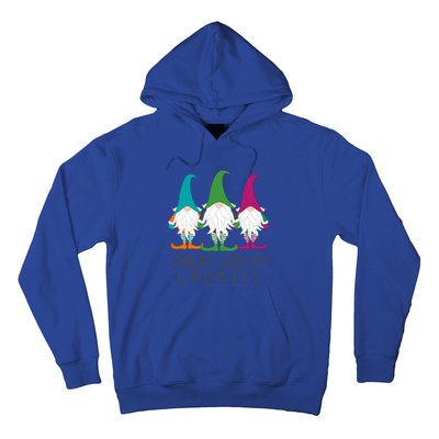 Chillin With My Gnomies Garden Gnome Christmas Lawn Care Gift Hoodie