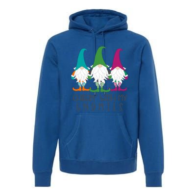 Chillin With My Gnomies Garden Gnome Christmas Lawn Care Gift Premium Hoodie