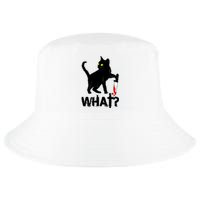 Cat What Murderous Black Cat With Knife Halloween Cool Comfort Performance Bucket Hat