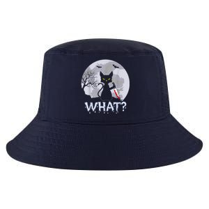 Cat What? Murderous Black Cat With Knife Halloween Costume Cool Comfort Performance Bucket Hat