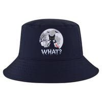 Cat What? Murderous Black Cat With Knife Halloween Costume Cool Comfort Performance Bucket Hat