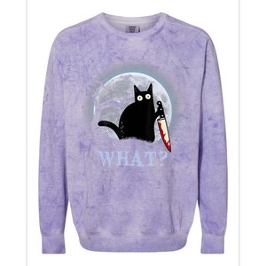 Cat What? Murderous Black Cat With Knife Halloween Funny Cat Lovers Colorblast Crewneck Sweatshirt