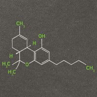 Cannabis Weed Pot Molecule Thc Marijuana Stoner Gift Cotton Canvas Backpack