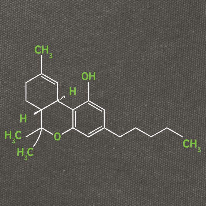 Cannabis Weed Pot Molecule Thc Marijuana Stoner Gift Cotton Canvas Backpack