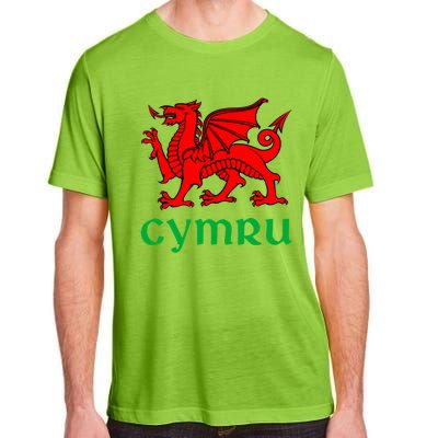 Cymru Welsh Pride Gift Red Dragon Of Wales Flag Funny Gift Adult ChromaSoft Performance T-Shirt