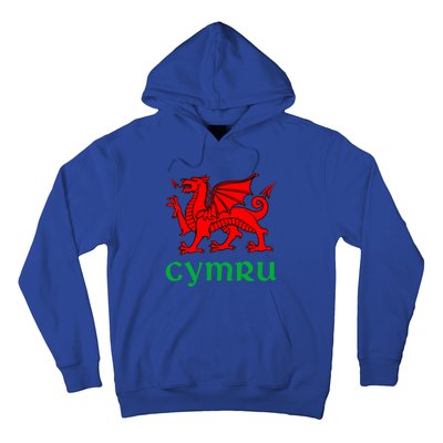 Cymru Welsh Pride Gift Red Dragon Of Wales Flag Funny Gift Hoodie